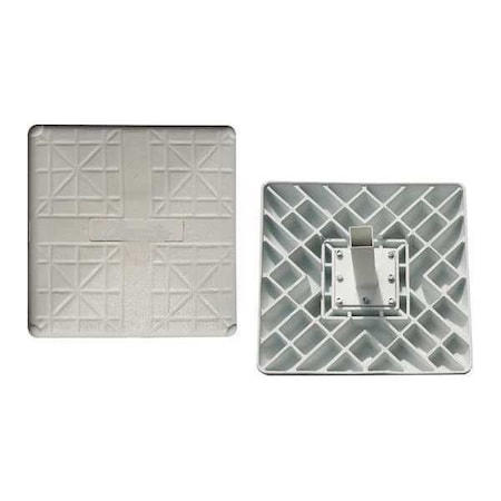 Champion Sports Hollywood Type Impact, PK3 M750