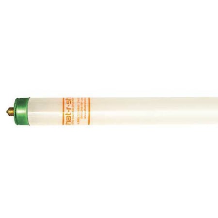 Shat-R-Shield Fluorescent, 8', 59W, T8, 5000K, PK25 43428