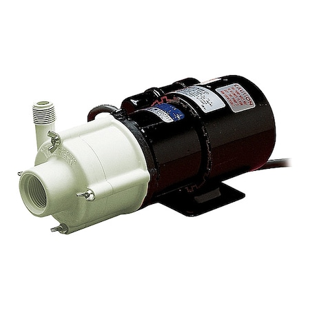 Little Giant Pump Magnetic Drive Pump, 1/10 hp, 230VAC 582514
