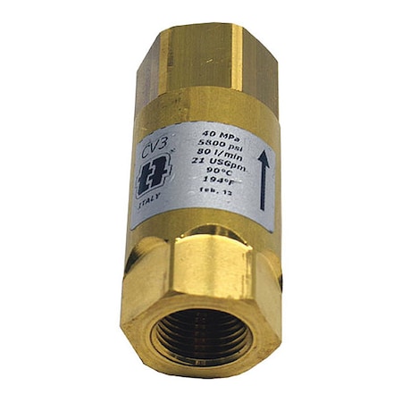 A.R. North America Check Valve 5800psi 1/2 Fx2 4074000002