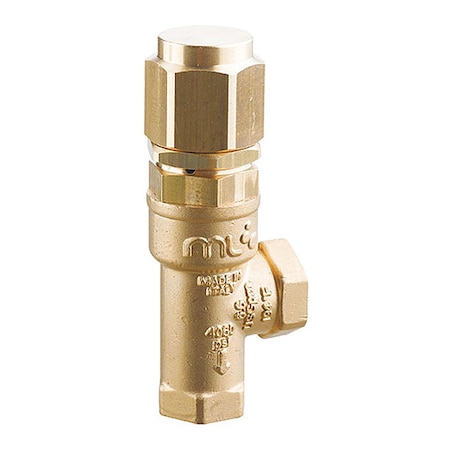 A.R. North America Safety Valve, SS 10,450 psi 4073201000