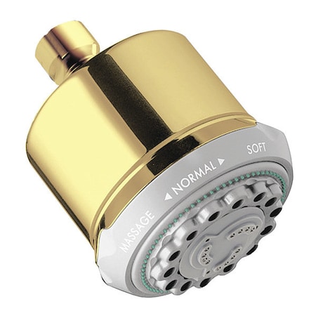 Hansgrohe Clubmaster Shower Head, Polished Brass 28496931