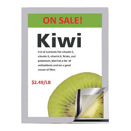 Tarifold Magneto Magnetic Picture Frame, Slvr, PK2 P18600