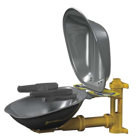 Bradley Plumbed Eyewash, Wall Mount, Plumbed, 14 2/3 in H., 15 1/2 in W S19224DCFW