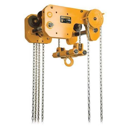 Harrington Ultra-Low Hoist/Trolley, ANSI/ASME B30.16 SHB010-20