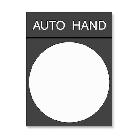 Schneider Electric Legend Plate, Rectangular, Auto-Hand ZBY2364
