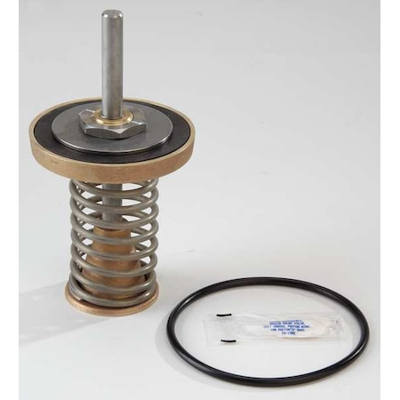 Watts Repair Kit, Watts Series 909, 2-1/2 to 3In 909 2 1/2 - 3 1st Check Kit