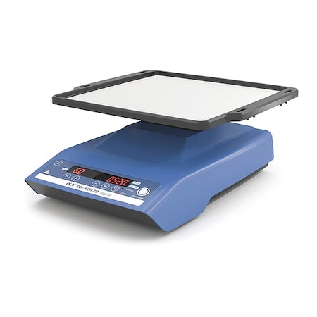 Ika Rocker 2D Digital 0004003000