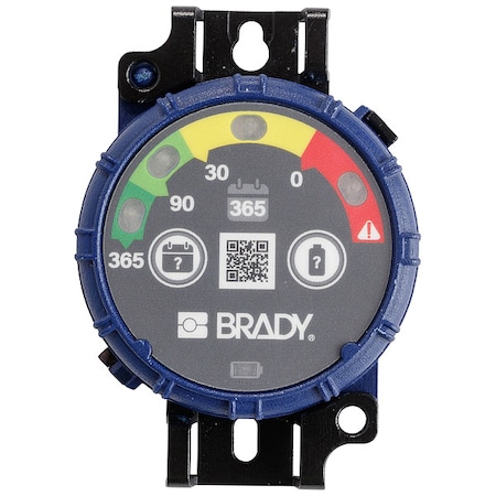 Brady Inspection Timer, 365 day, PK10 150744