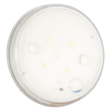 Grote Rubber Utility Dome Lamp, LED, 12V,  61E41