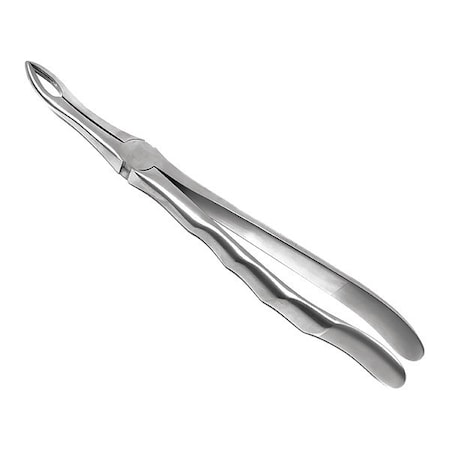 Cynamed Dental Extracting Forcep, No 845, Anatomical CYZR-0864