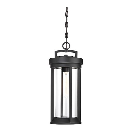 Nuvo Lighting Fixture, Outdoor, Hanging, 60W 60/6504