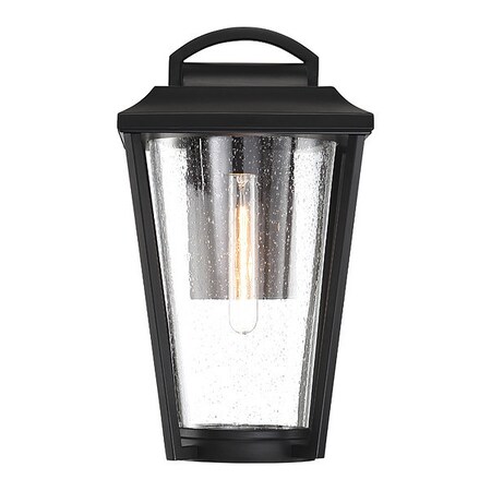 Nuvo Lighting Fixture, Outdoor Wall, 60W 60/6512