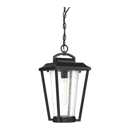 Nuvo Lighting Fixture, Outdoor, 60W 60/6514