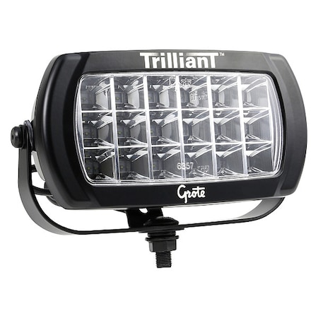 Grote Trilliant Bi-Votage Flood 63N31