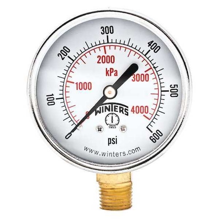Winters 2 1/2 in Dial, 1/4 in NPT Bottom Location, Steel Case Material PEM218