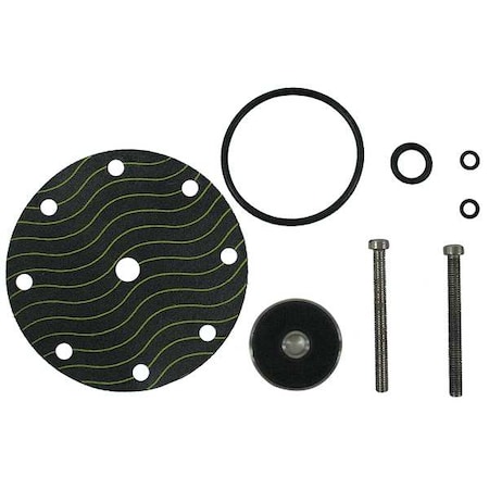 Watts Pilot Rebuild Kit, for use with G2232711 CP16RK