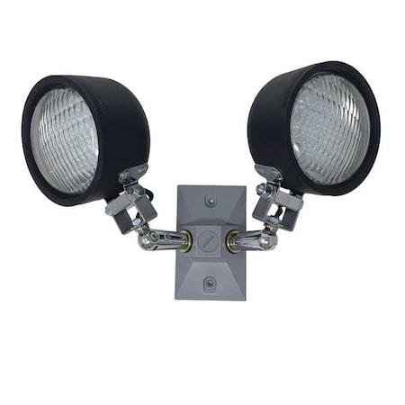 Big Beam Outdoor/Food Safe Remote Emergency Double Head - High Lumen, 9 in Height, 13 in Width LS36WPDH6