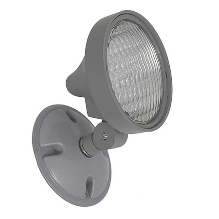 Big Beam Remote Head, LED, 6V, 5W, 8" H, 5" W, 1 Lamp LS63F6Y