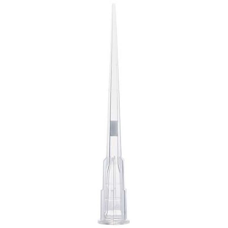 Globe Scientific Filter Pipette Tip, Polypropylene, PK1920 150903