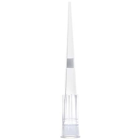 Globe Scientific Filter Pipette Tip, Polypropylene, PK1920 150910