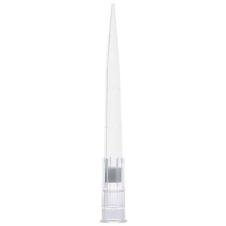 Globe Scientific Filter Pipette Tip, Polypropylene, PK1920 150925