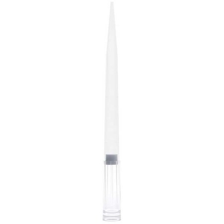 Globe Scientific Filter Pipette Tip, Polypropylene, PK1920 150938