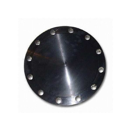 Guardianmade Blind Flange, Carbon Steel, 10" NPS FLCS1RFBL1000