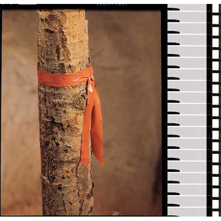 Zoro Select Flagging Tape, No Legend, Orange, 1 in Wide x 300 ft Length, Vinyl, 2.5 mil TF1O-200