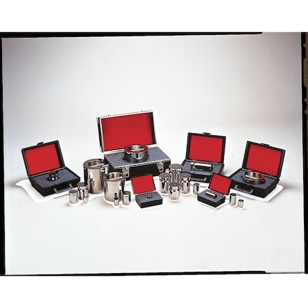 Troemner Calibration Weight, Metric, 100g 8144T