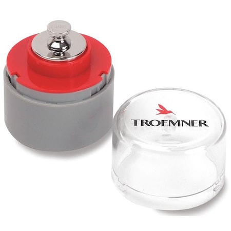 Troemner Precision Weight, Metric, 100g 7017-4