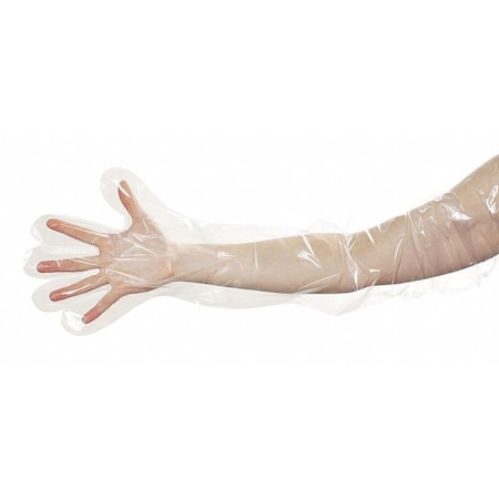 Condor Disposable Gloves, 1.60 mil Palm, Powder-Free, Universal, 100 PK, Clear 8AKM7