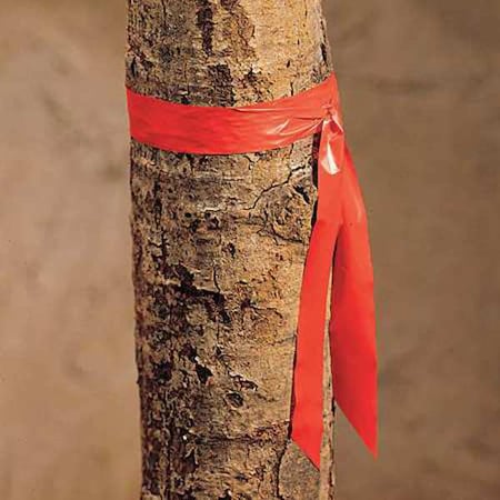 Zoro Select Flagging Tape, No Legend, Red, 1 in Wide x 300 ft Length, Vinyl, 2.5 mil TF1R-200