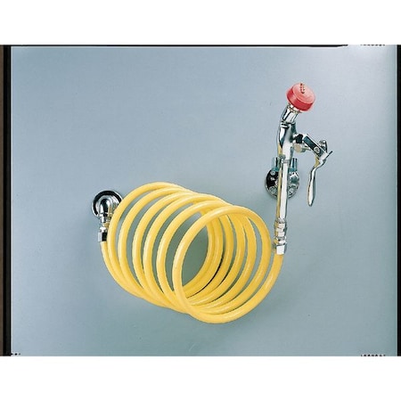 Speakman Single Head Drench Hose, Wall Mount, 12 ft SE-925