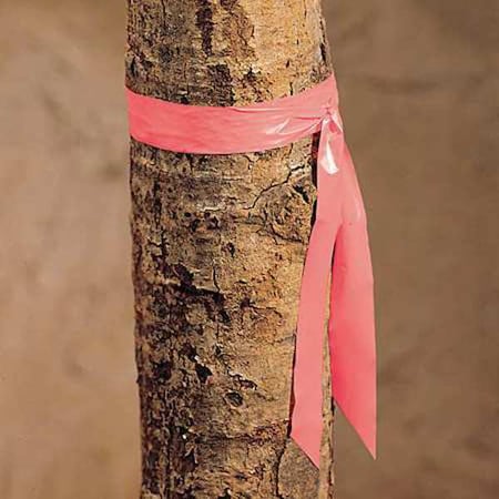 Zoro Select Flagging Tape, No Legend, Pink, 1 in Wide x 300 ft Length, Vinyl, 2.5 mil TF1P-200