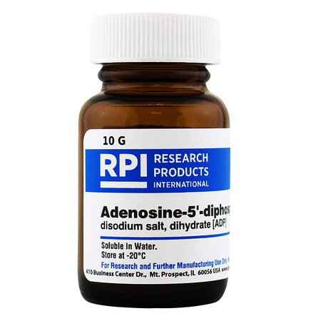 Rpi ADP (Adenosine-5-diphosphate), 10g A11220-10.0