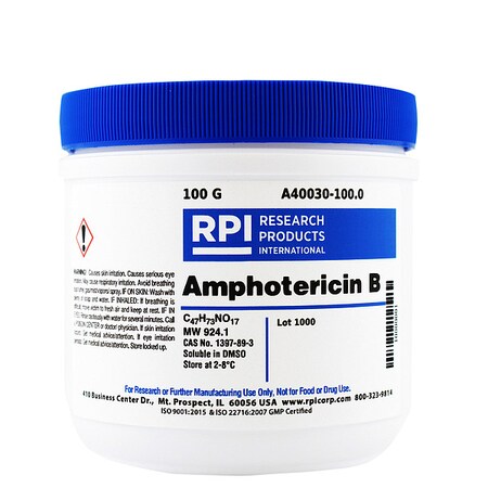 Rpi Amphotericin B, 100g A40030-100.0