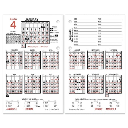 At-A-Glance Burkhart's Day Counter Desk Calendar Refill, 4.5 x 7.38, White Sheets, 12-Month (Jan to Dec): 2025 E712-50