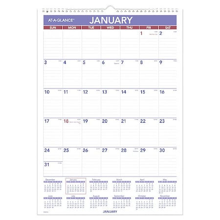 At-A-Glance Erasable Wall Calendar, 12 x 17, White Sheets, 12-Month (Jan to Dec): 2025 AAGPMLM0228