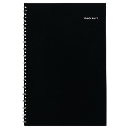 At-A-Glance DayMinder Monthly Planner, Ruled Blocks, 12 x 8, Black Cover, 14-Month: Dec 2024 to Jan 2026 SK2-00