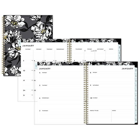 Blue Sky Planner, 8-1/2 x 11", Weekly-Monthly BLS110211