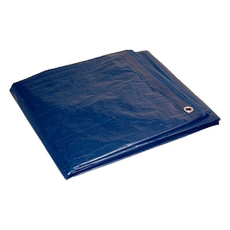 Zoro Select 5 mil Tarp, Blue 80810 | Zoro