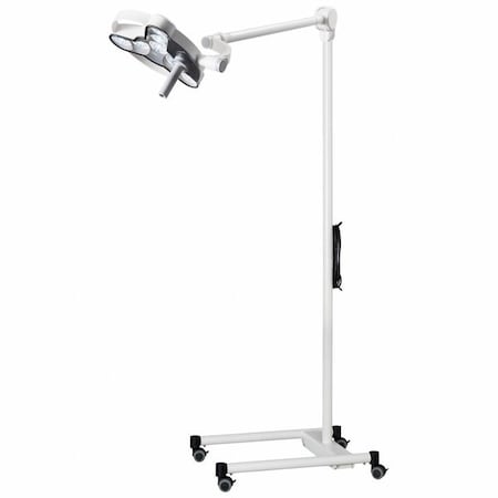 Waldmann Exam Light, 95CRI, 4500K, LED D16135000