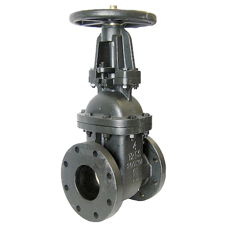 MILWAUKEE VALVE Gate Valve, Class 125, 2 In., Flange 2885-M  2