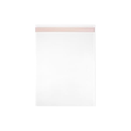 Zoro Select Reclosable Bag, Fold Seal, 5 1/4 in L, 3 11/12 in W, 1.6 mil Thick, Biaxial Oriented Polypropylene L6B3.875x5.25