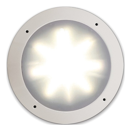 Ecco Anti-Microbial Interior Light PCL-LED-VV-WWG