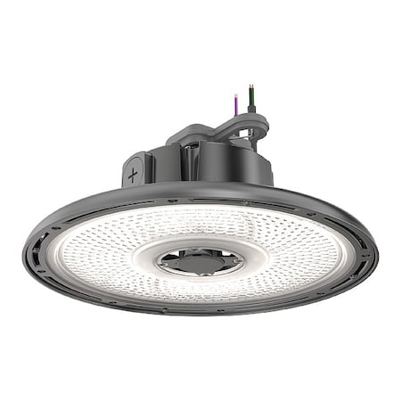 Lithonia Lighting LED High Bay, Black, REBL, 12 3/16 in W REBL ALO13 UVOLT SWW3 80CRI DBL M2
