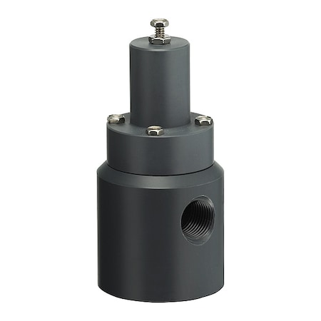 Plast-O-Matic Pressure Relief Valve, 1/4In, 5 to 100 psi RVD025V-PV