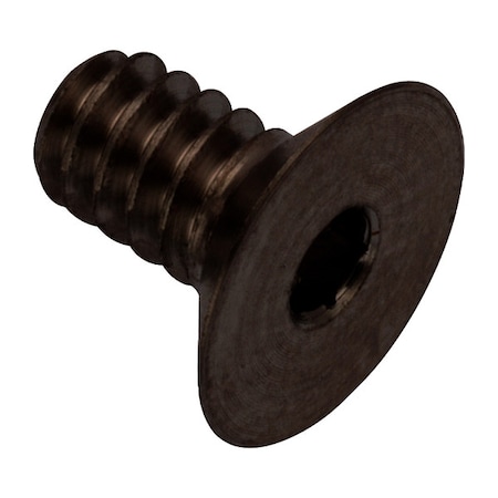Zoro Select #6-32 Socket Head Cap Screw, Flat, Black Oxide 316 Stainless Steel, 1/4 in Length ZHF60206C04-BX