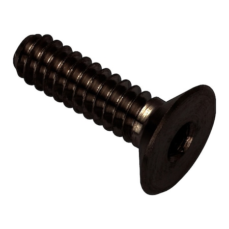 Zoro Select #6-32 Socket Head Cap Screw, Flat, Black Oxide 316 Stainless Steel, 1/2 in Length ZHF60206C08-BX